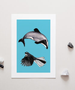 Dolphin & Fantail Art Print for sale