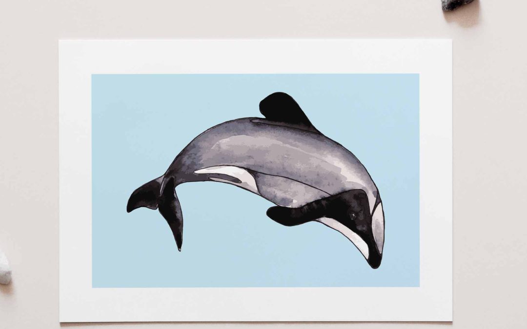 Maui Dolphin Art Print