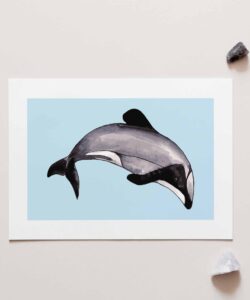 Dolphin Art Print