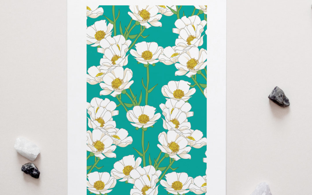 Mt Cook Buttercup Art Print