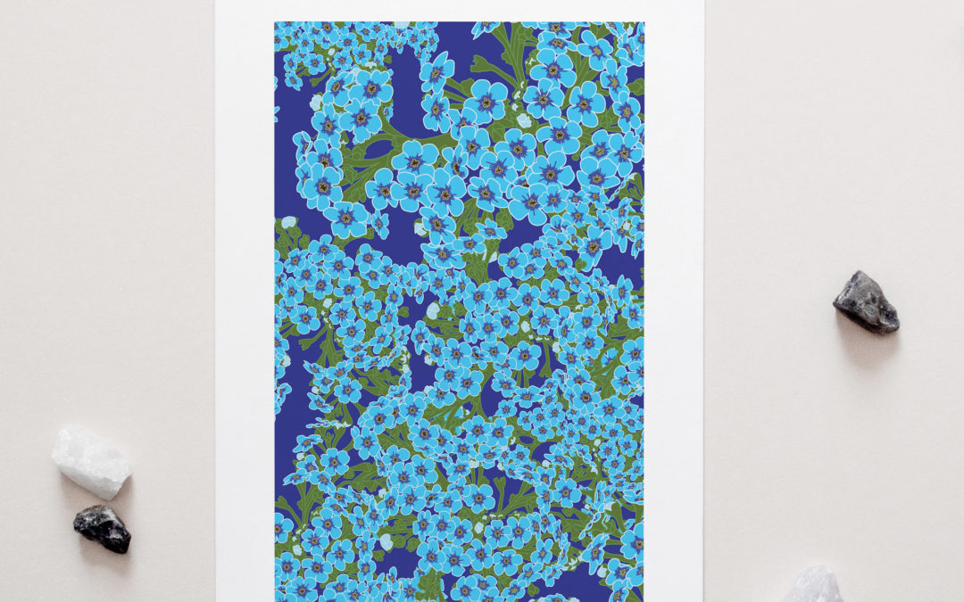 Forget-Me-Not Art Print – Chatham Is NZ Native