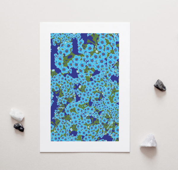 New Zealand Native Chatham Island Forget Me Not Blue Flower Art Print for sale