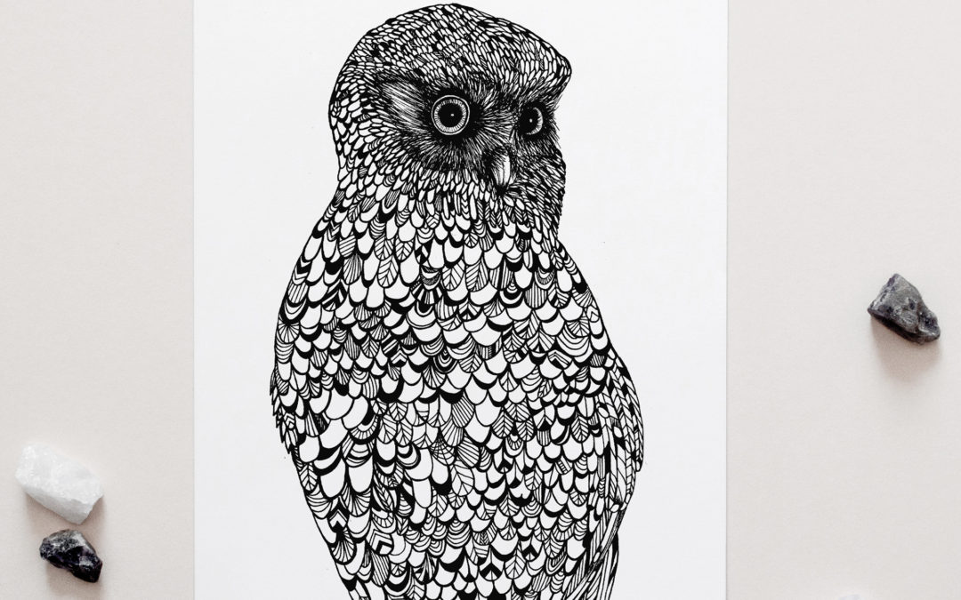 Morepork Art Print (NZ Native Owl)