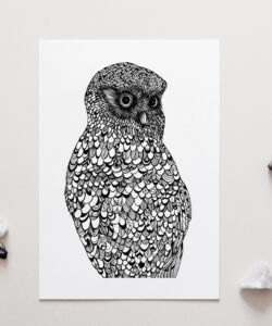 Morepork Art Print