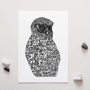 NZ Native Owl Morepork Art Print for sale
