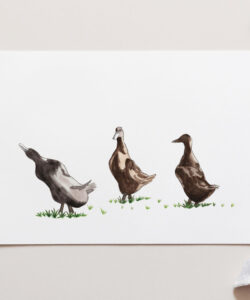 Farmyard Ducks Art Print