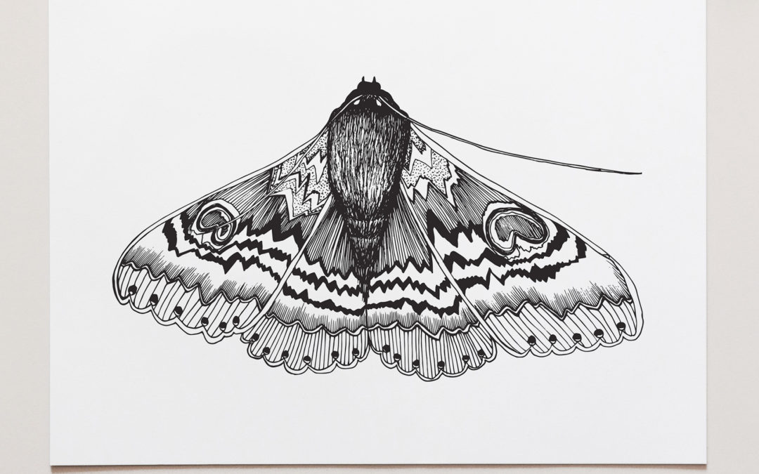 Furry Moth Art Print