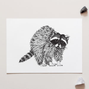Raccoon Art Print for sale