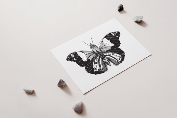 Butterfly Art Print for sale