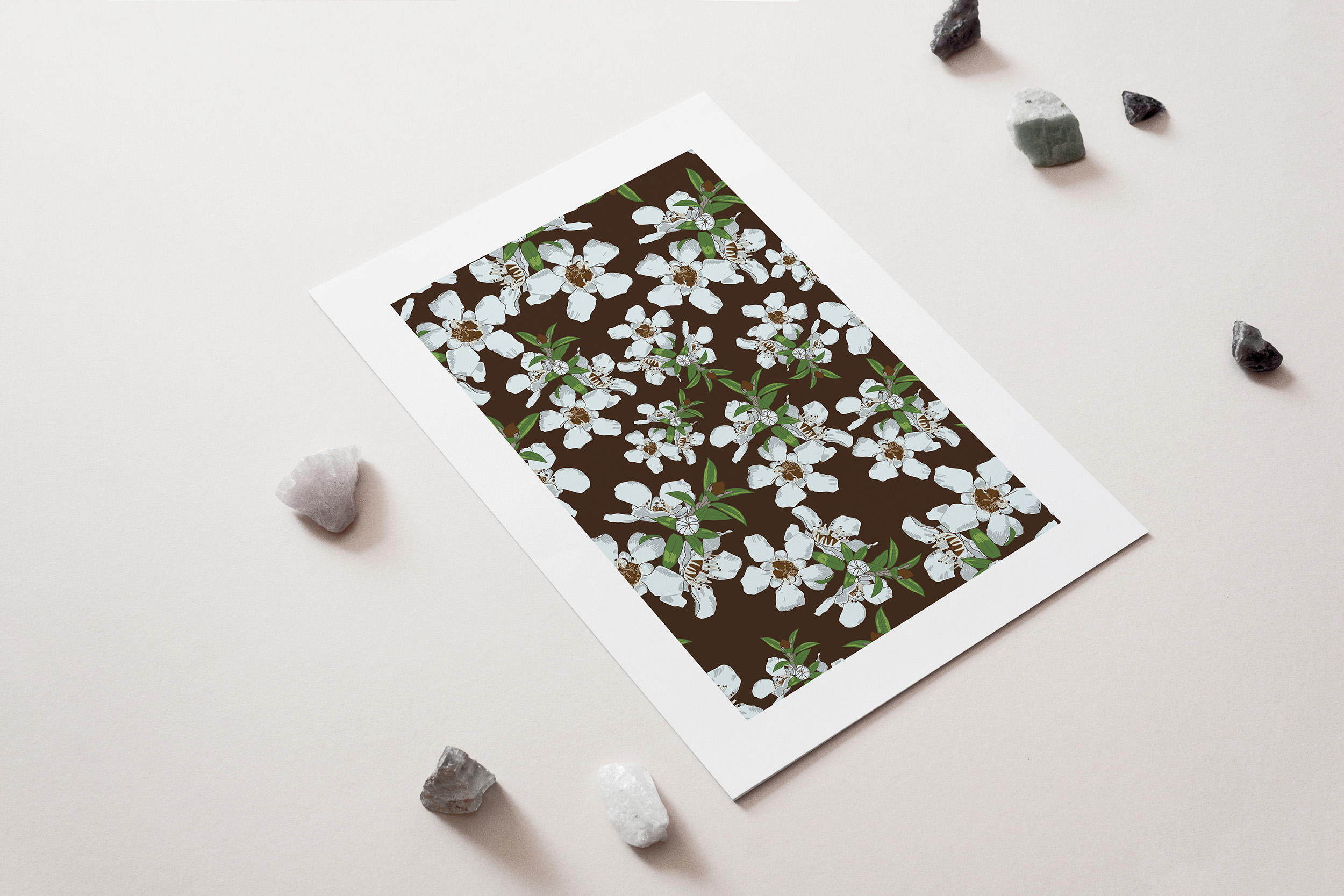 New Zealand Native Manuka white brown Flower Art Print for sale