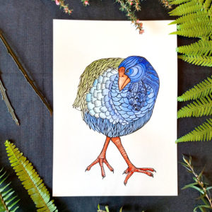 A3 Hand Coloured Takahe Art Print