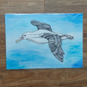 penny royal design, A3 hand coloured albatross art print, shop, sale