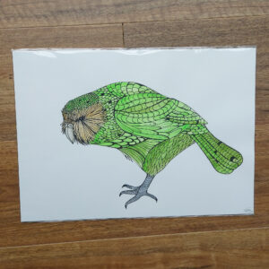 A3 Hand Coloured Kakapo Art Print, penny royal design