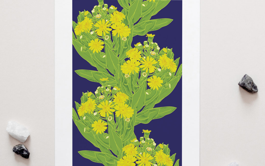 Chatham Is Christmas Tree Art Print