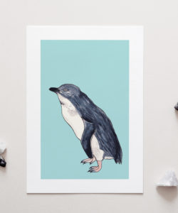 Little Blue Penguin Art Print for sale
