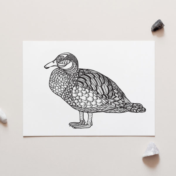 Blue Duck Art Print for sale