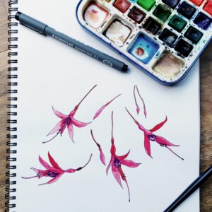 Fuchsia Pink Jandals