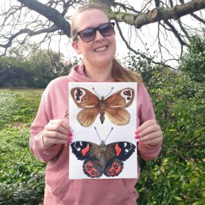 NZ Native Butterflies Sticker sheet