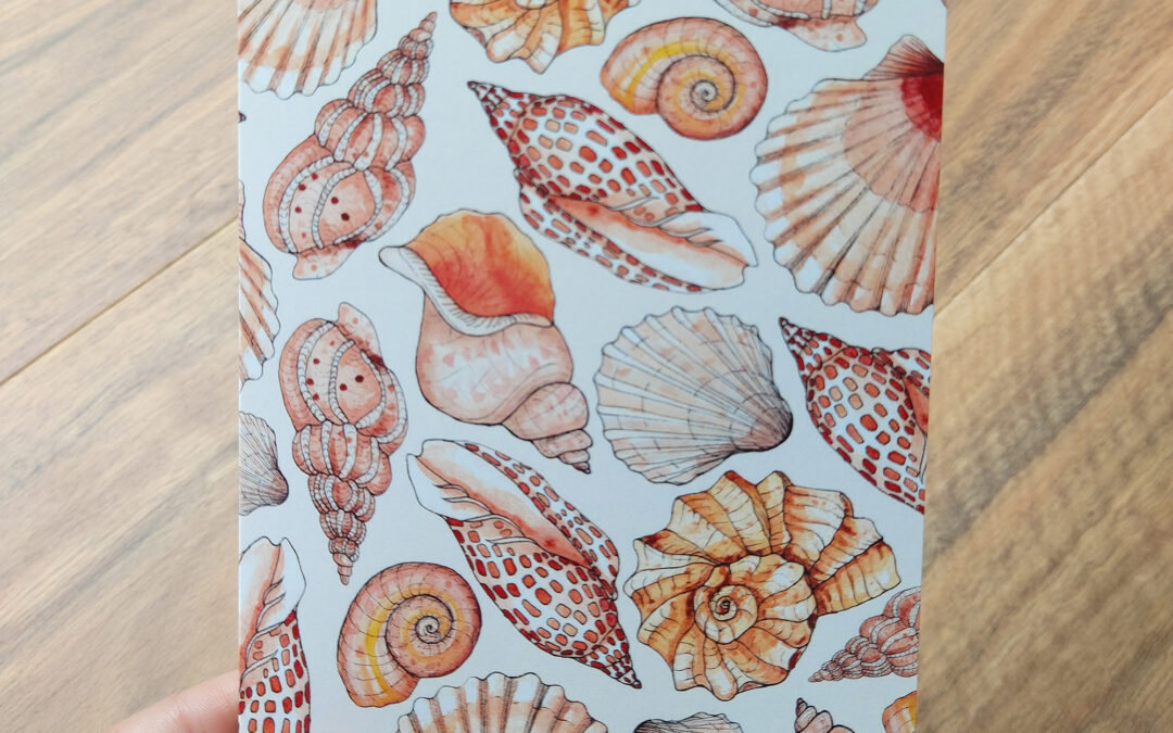 Seashell Greeting Card