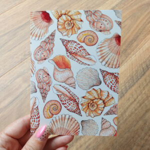 Seashell Greeting Card
