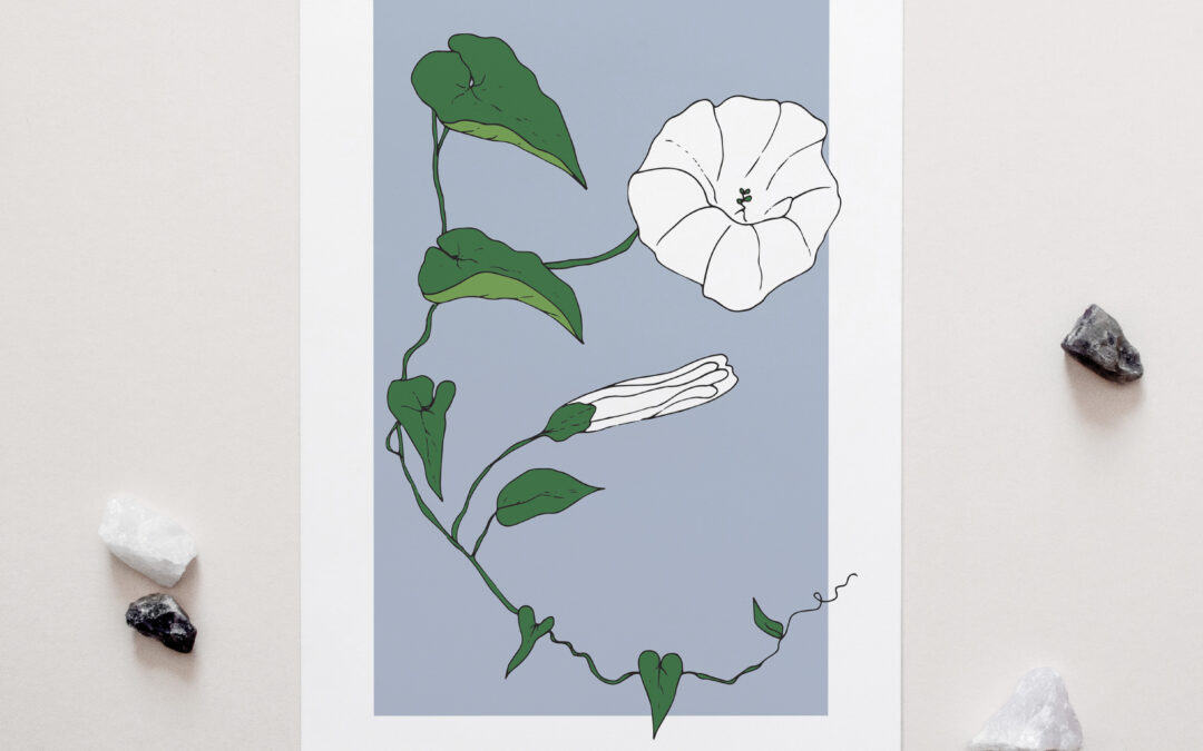 Mum’s Garden Convolvulus Art Print