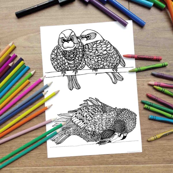 Kea and Silvereyes Coloring Page. Printable Adult Coloring Pages.