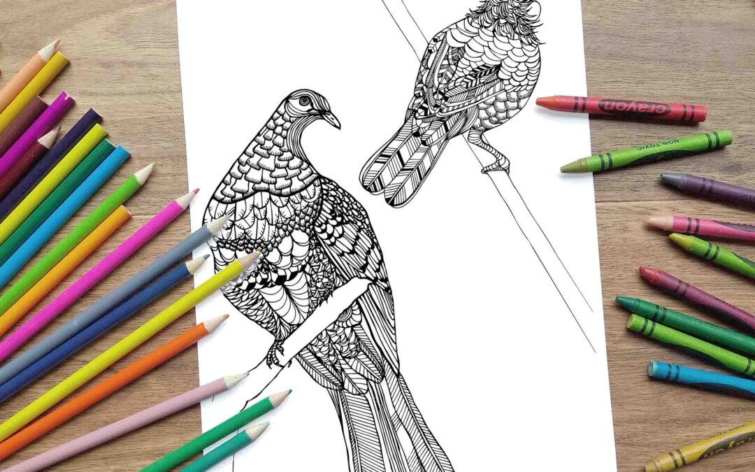 Kereru and Tui Coloring Page – Digital Download