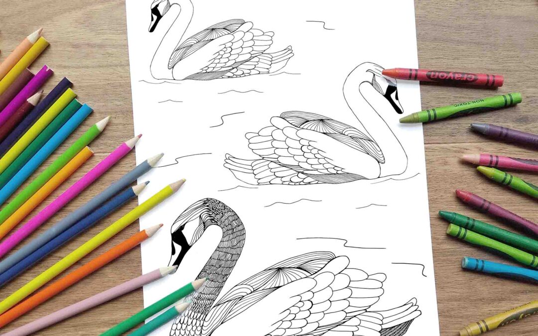 Swan Trio Coloring Page – Digital Download