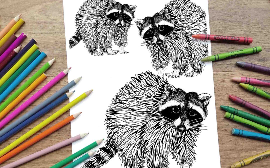 Trio of Trash Pandas Coloring Page – Digital Download