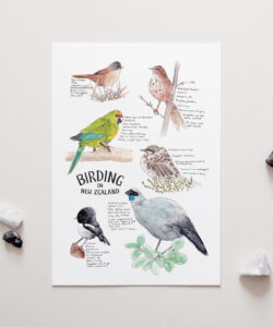 Birding in NZ Art Print, penny royal design, home page - penny royal design,