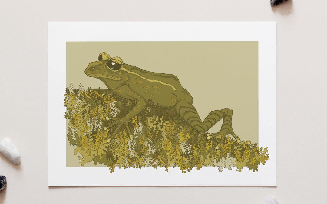 Mossy Frog Art Print