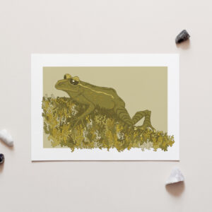 Mossy Frog Art Print
