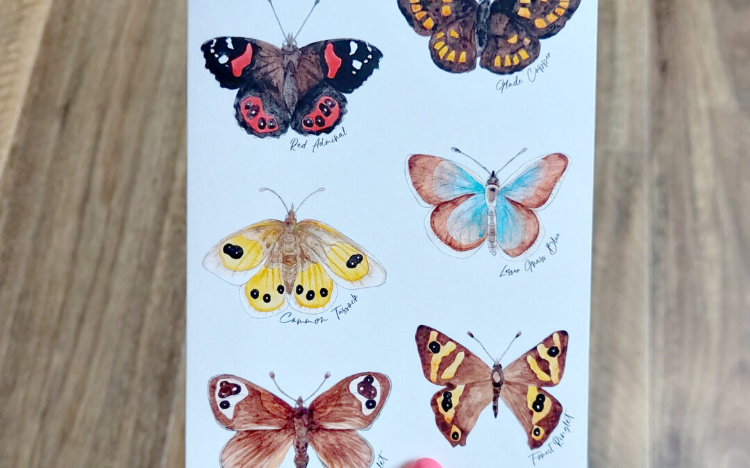 NZ Native Butterflies Greeting Card