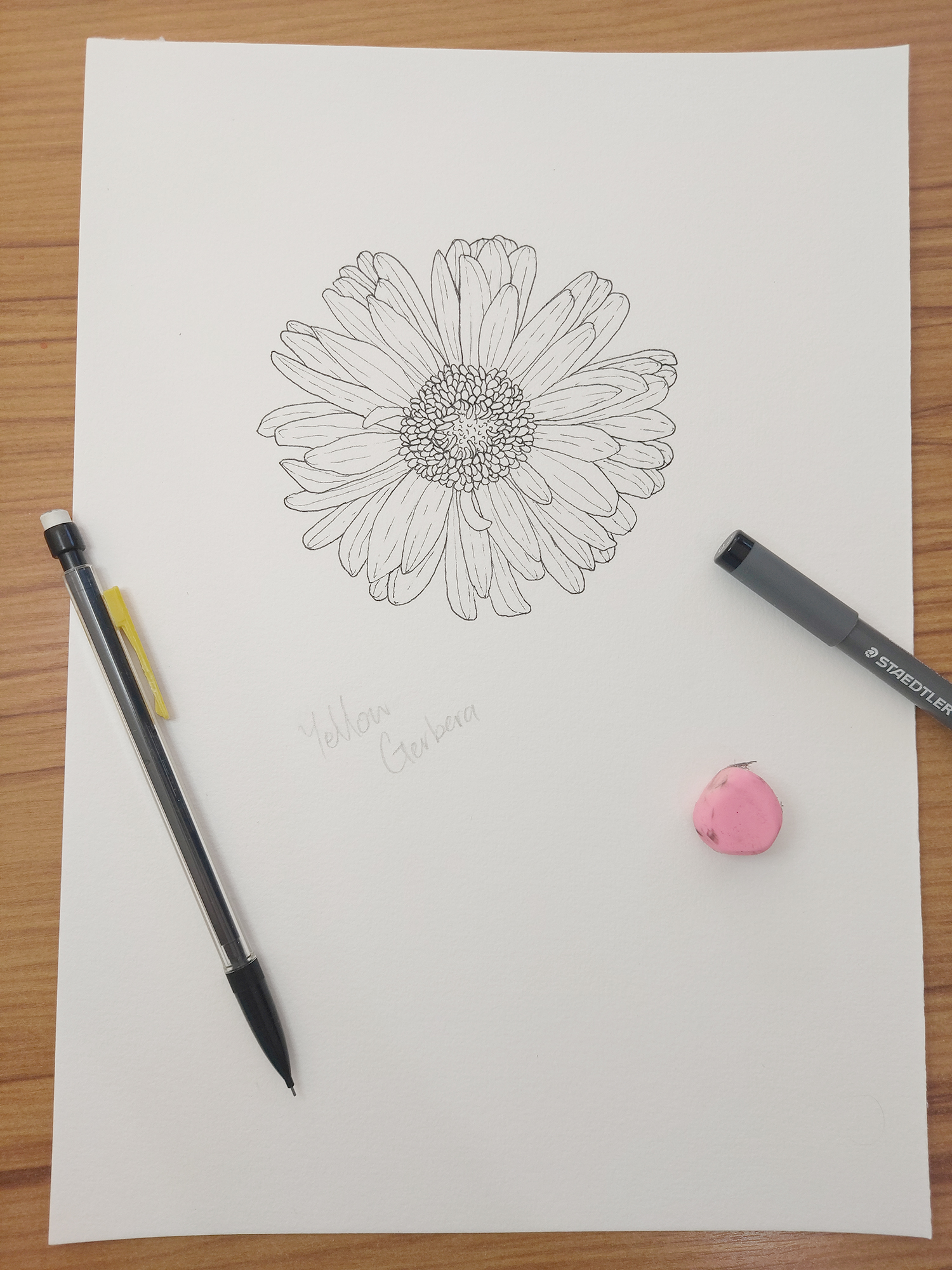 good vibes collection, collections, penny royal design