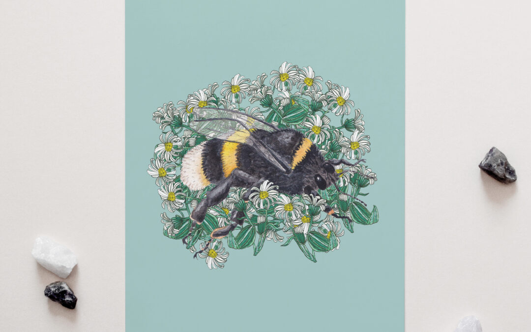 BumbleBee + Hectors Daisy Art Print