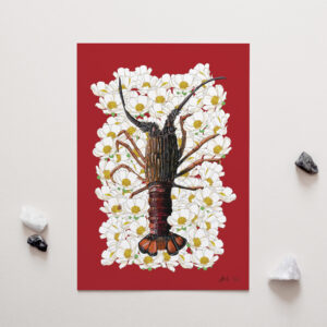 Penny + Lesh Collab Collection, Crayfish + Mt Cook Buttercup, Penny+Lesh Collab, art prints