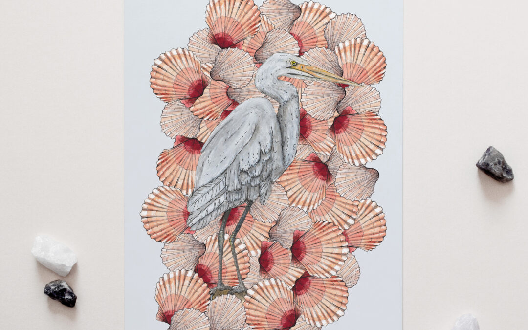 Heron + Scallops Art Print