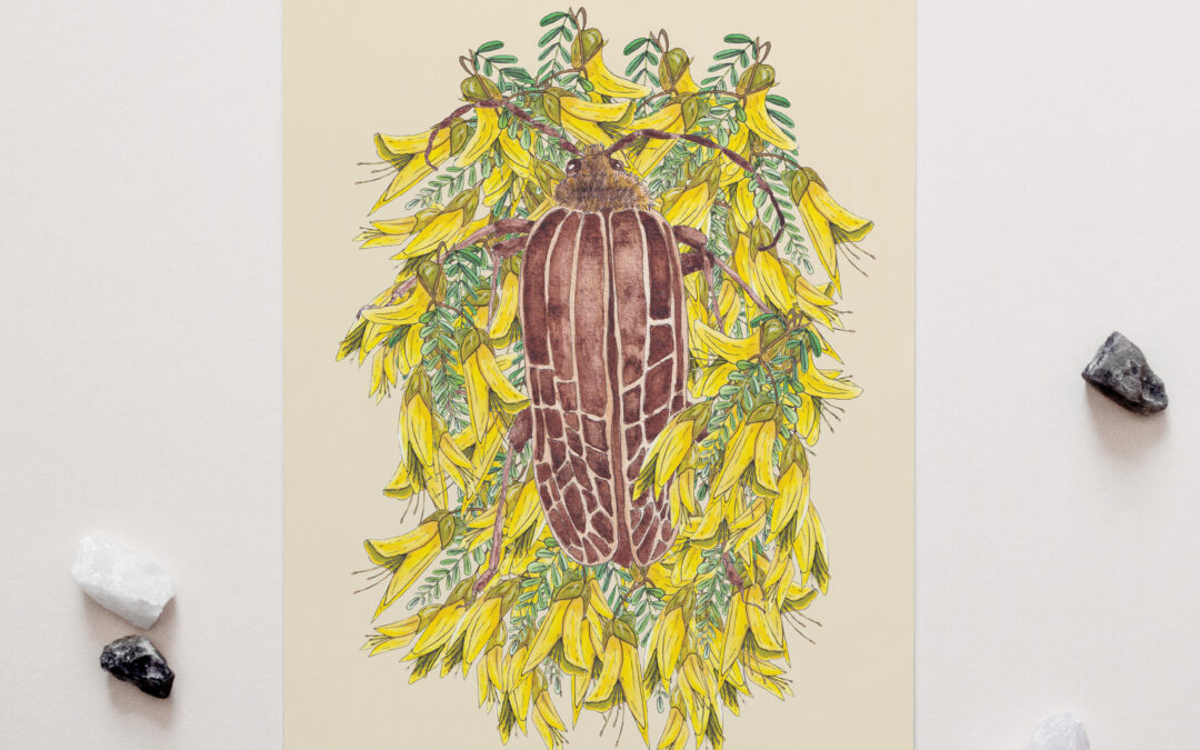 Huhu Beetle + Kowhai Art Print