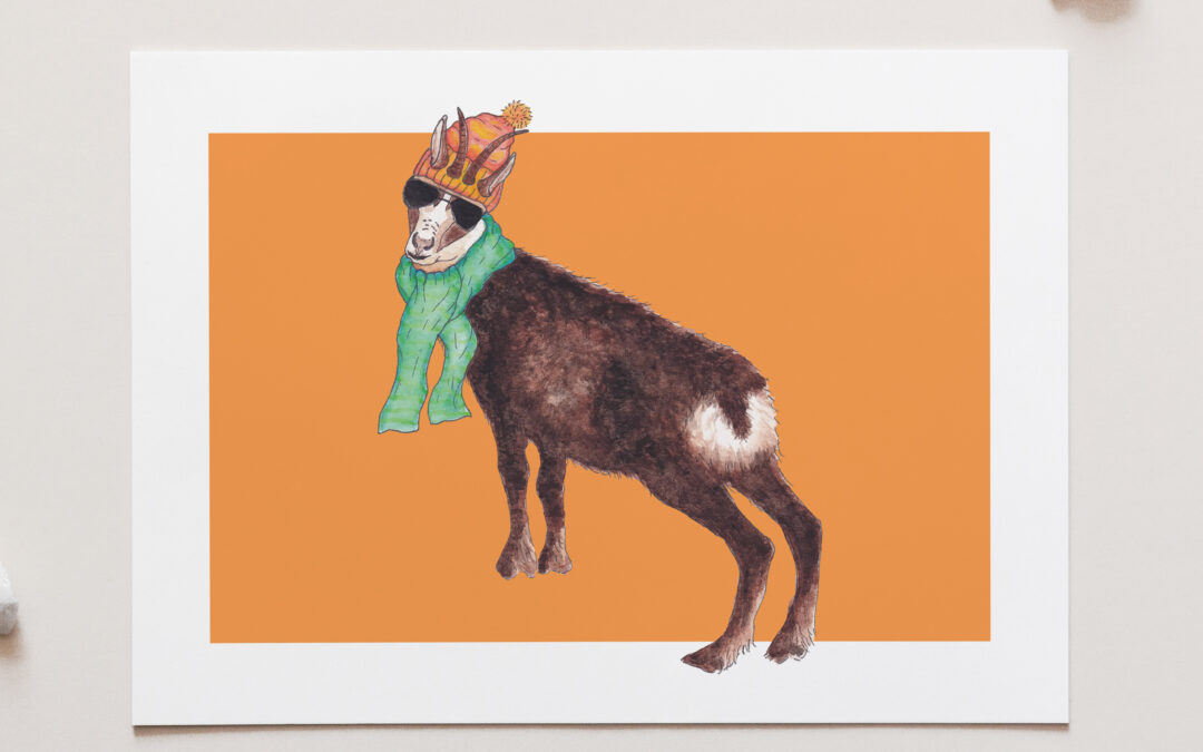Channy the Chamois Art Print