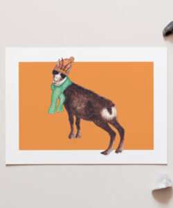 Channy the Chamois, animal character, art print, penny royal design, shop, animals, greeting card