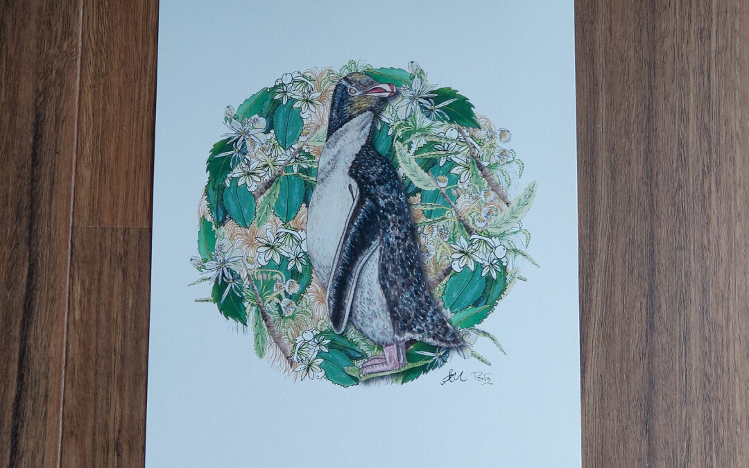 Yellow Eyed Penguin Art Print