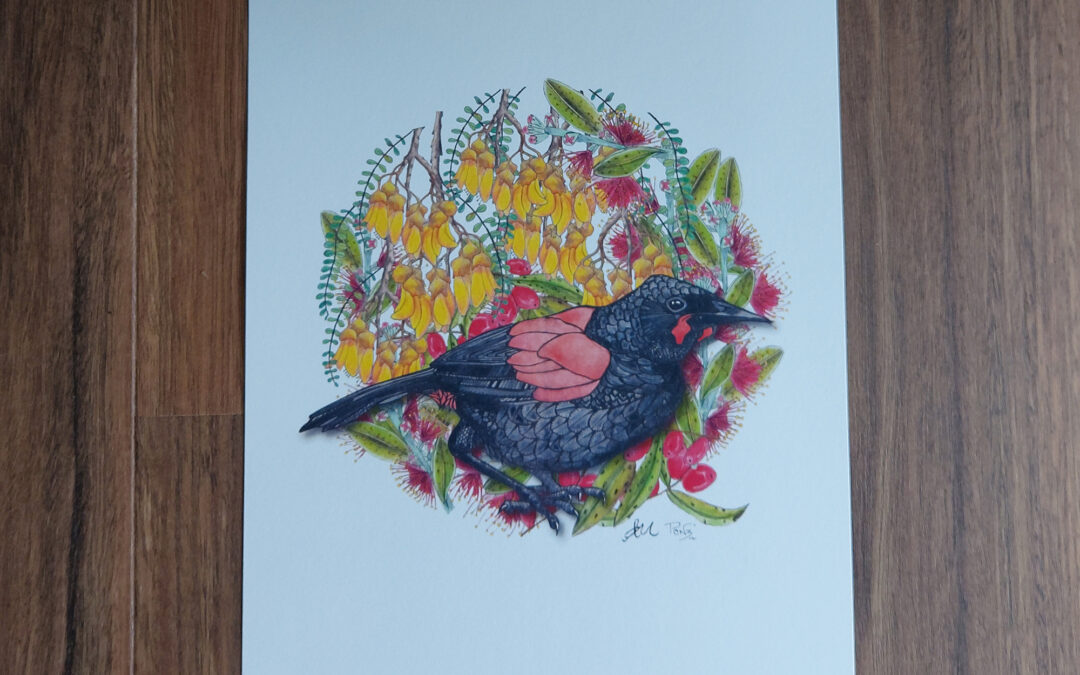 Saddleback Art Print