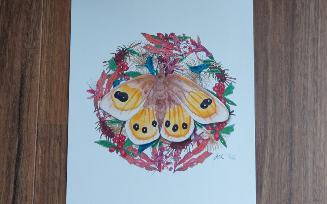 Common Tussock Butterfly Art Print