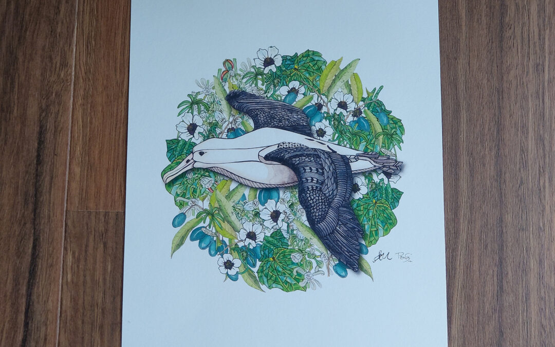 Royal Albatross Art Print