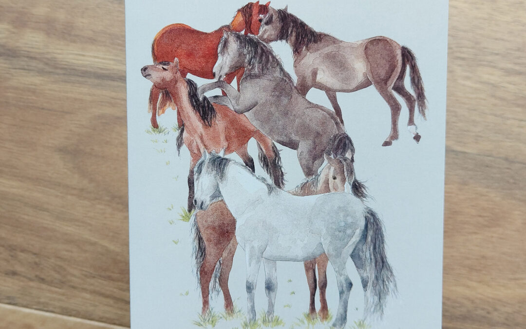 Wild Kaimanawas Greeting Card