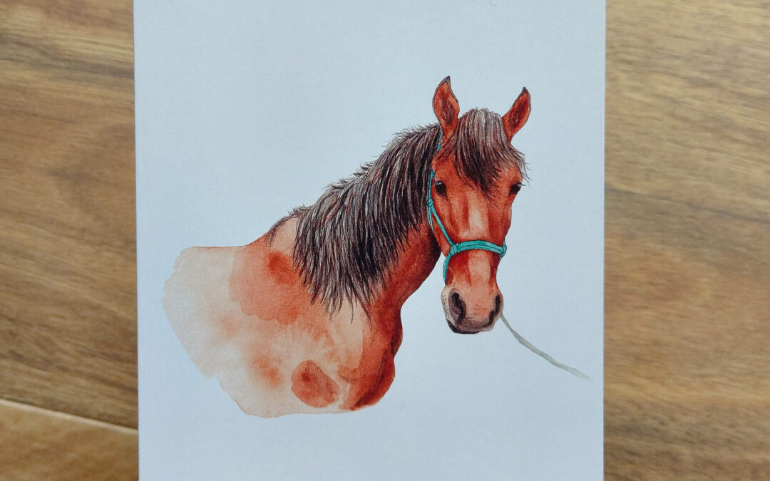 Danny Horse Greeting Card