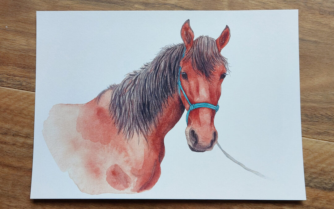 Danny Horse Art Print