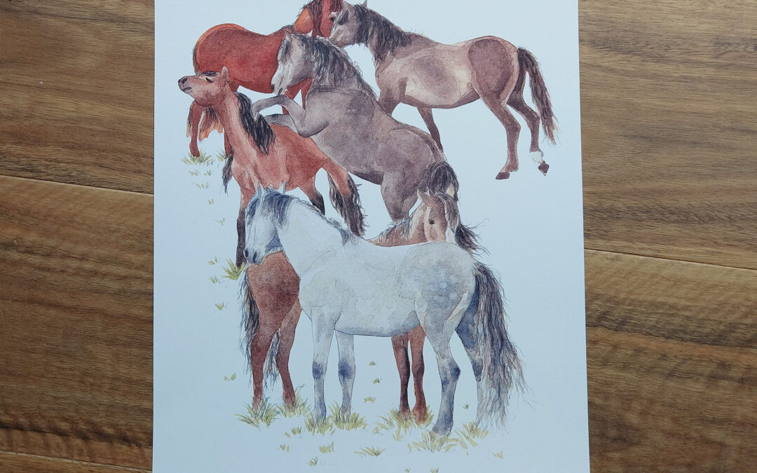 Wild Kaimanawas Art Print – horses