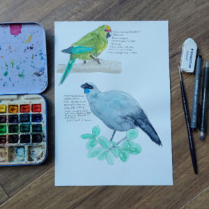 kakariki, jandal, flip-flop,footwear, penny royal design, nz native, bird, parrot, teal, summer