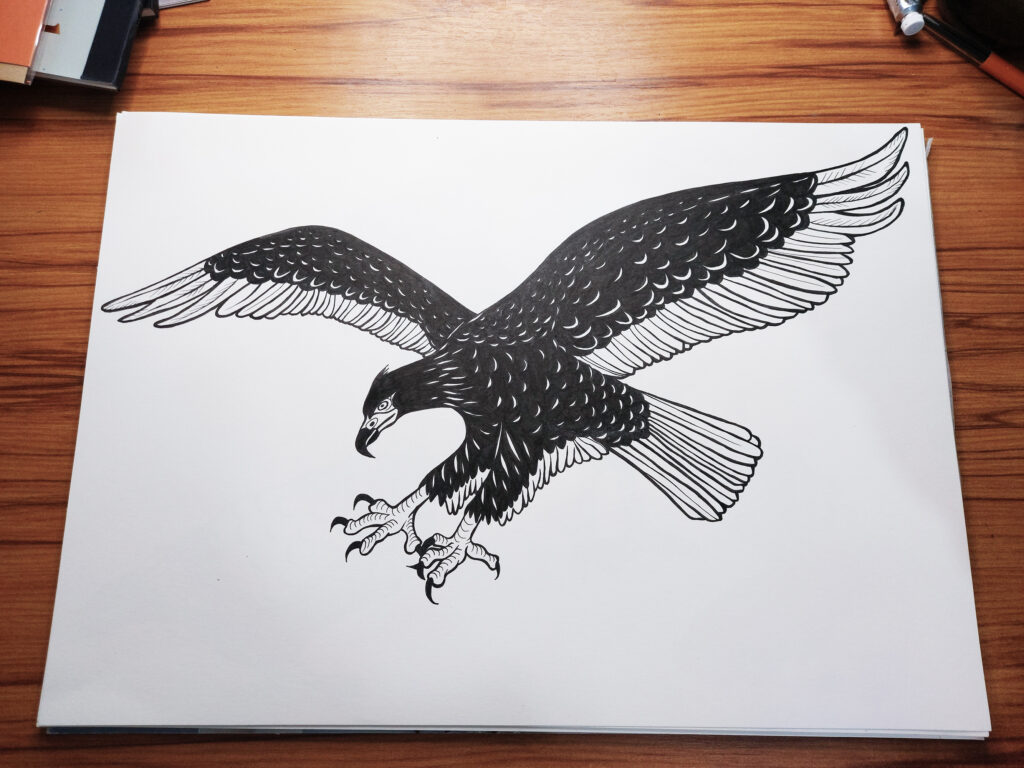 hand drawing, scanning, digital editing, vectorisation, simplification for etching, penny royal design, rooster, fantail, kea, Haast’s eagle, black pen on paper, digital vector illustration